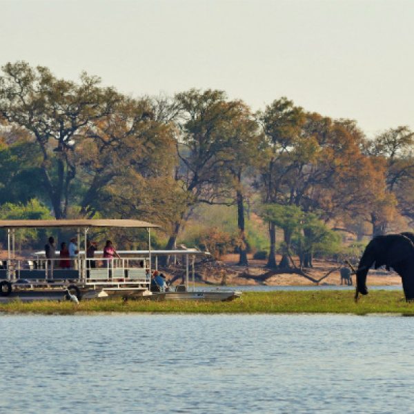 Botswana Chobe River View Lodge Boat Safari