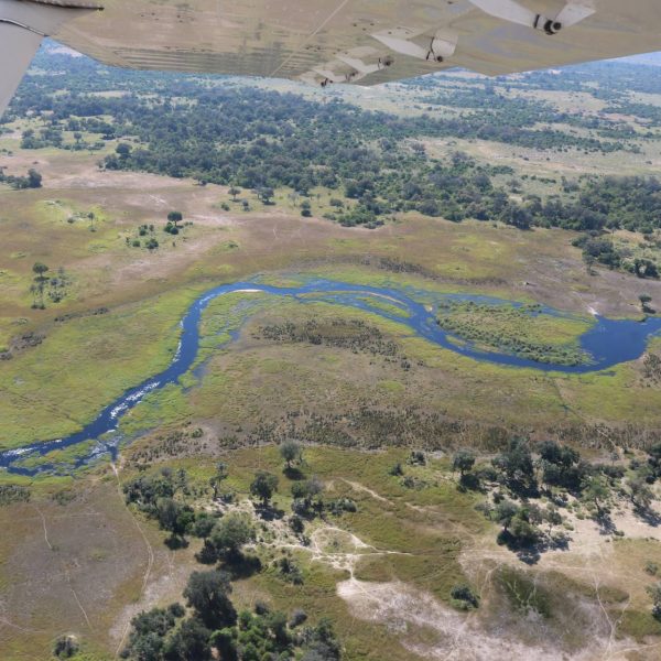 Botswana Okavango Delta Air