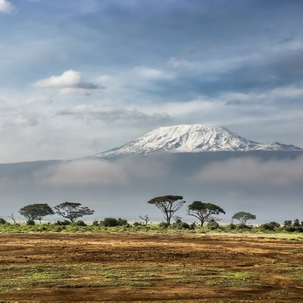Kenia Kilimanscharo