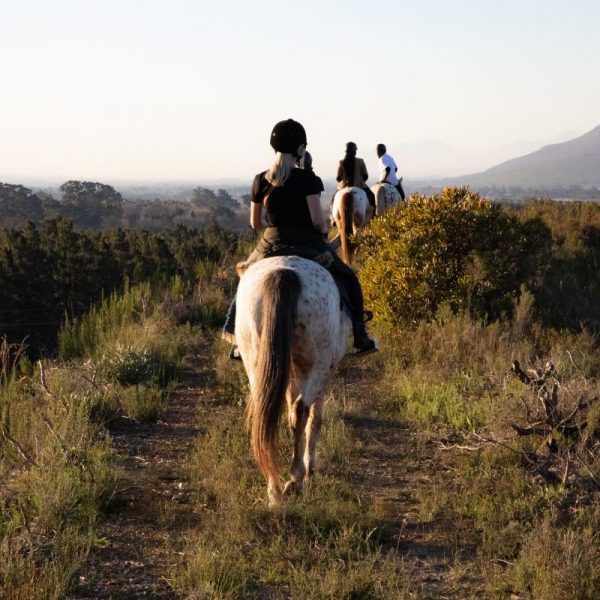 South Africa Horse Riding