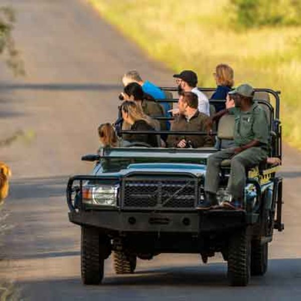 Suedafrika Africa on Foot Safari Jeep