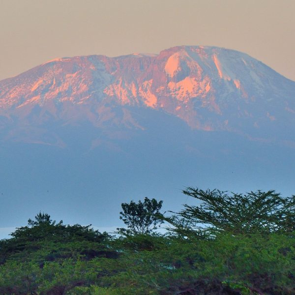 Tansania Kilimanscharo