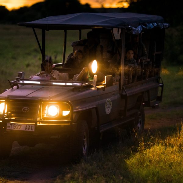Tansania Serengeti Grumeti Hills Night Drive