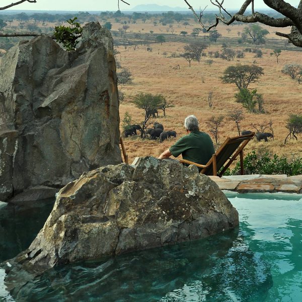 Tansania Serengeti Grumeti Hills Pool Elefants