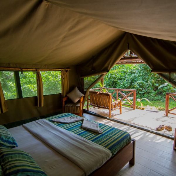 Uganda-Kibale-Forest-Camp