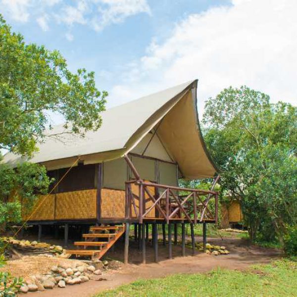 Uganda-Nature-Lodge-Tent-Room